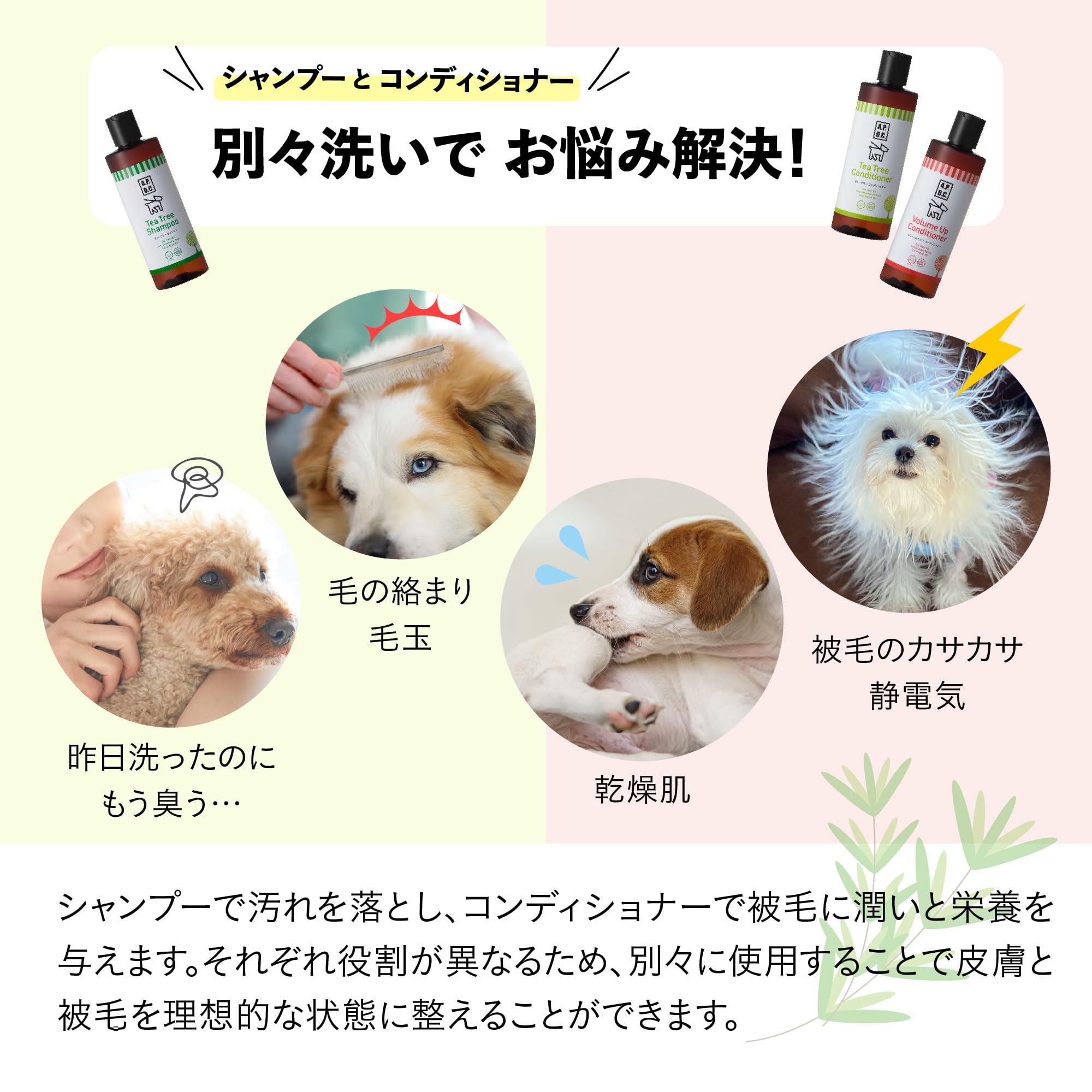 Amazon | A.P.D.C. ティーツリー シャンプー 250mL | 全犬種対応